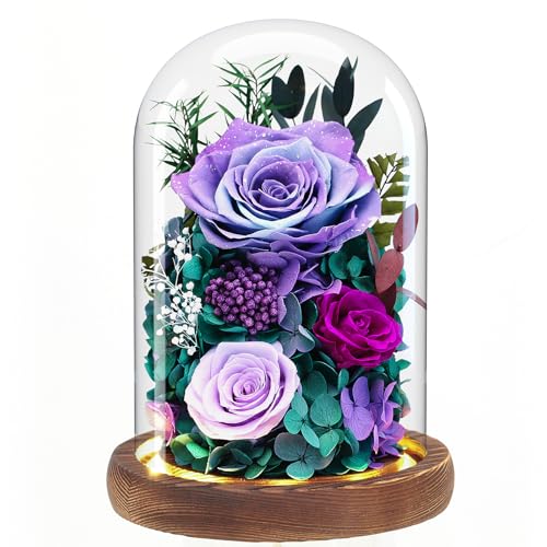 Preserved Purple Rose Flower Bouquet in Glass Dome V66025