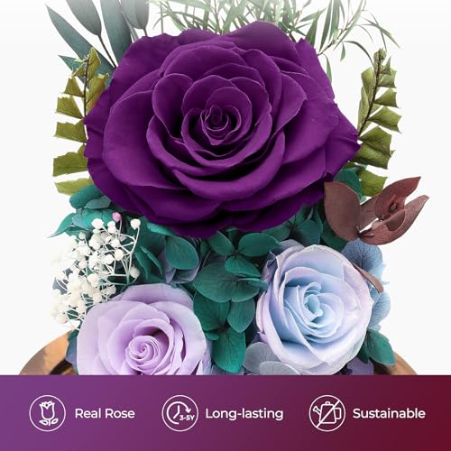 Preserved Purple Rose Flower Bouquet in Glass Dome V66025