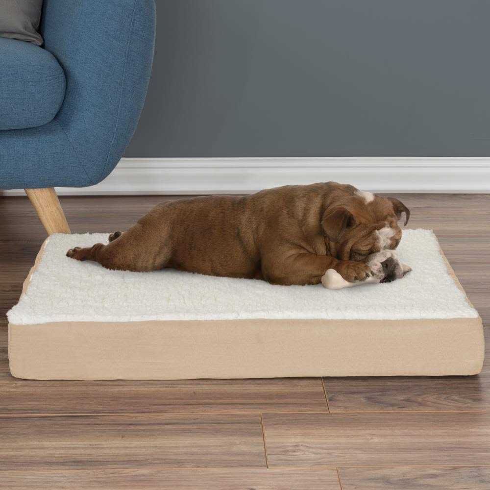 Memory Foam Orthopedic Dog Bed B191049