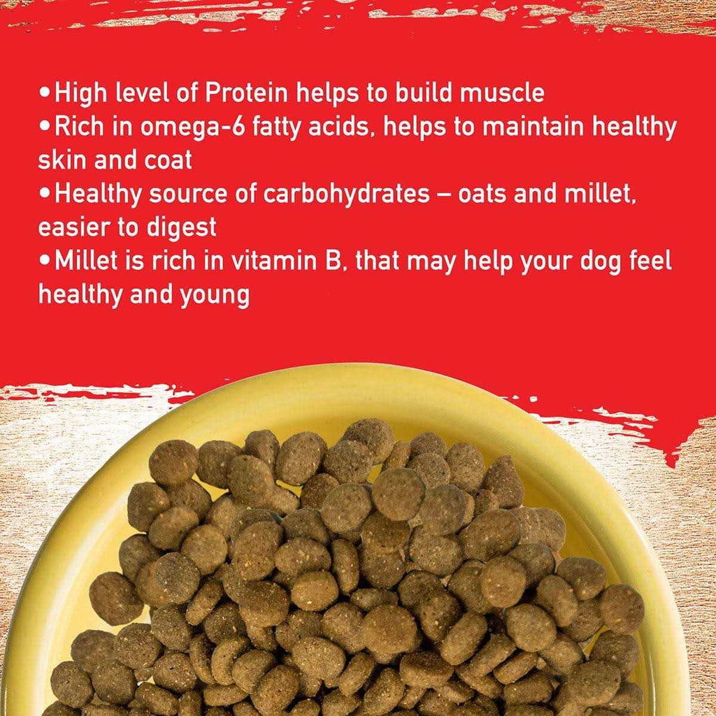 Pork Recipe Dog Food A65801