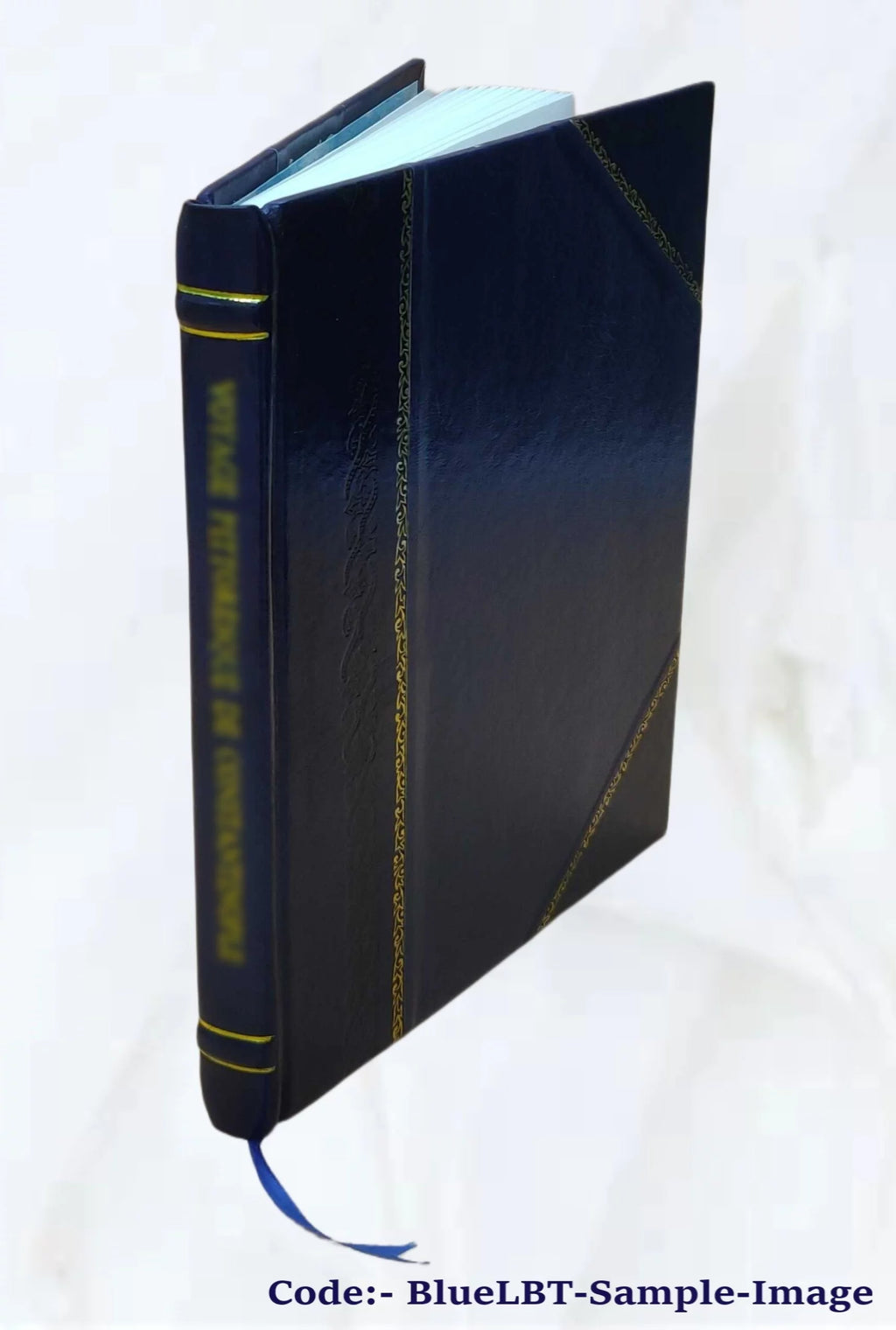 Leather Bound Book B346171