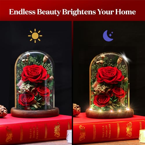 Preserved Purple Rose Flower Bouquet in Glass Dome V66025