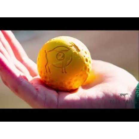 Goat Sport Ball Dog Toy L337579