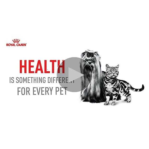 Ragdoll Adult Cat Food W998588
