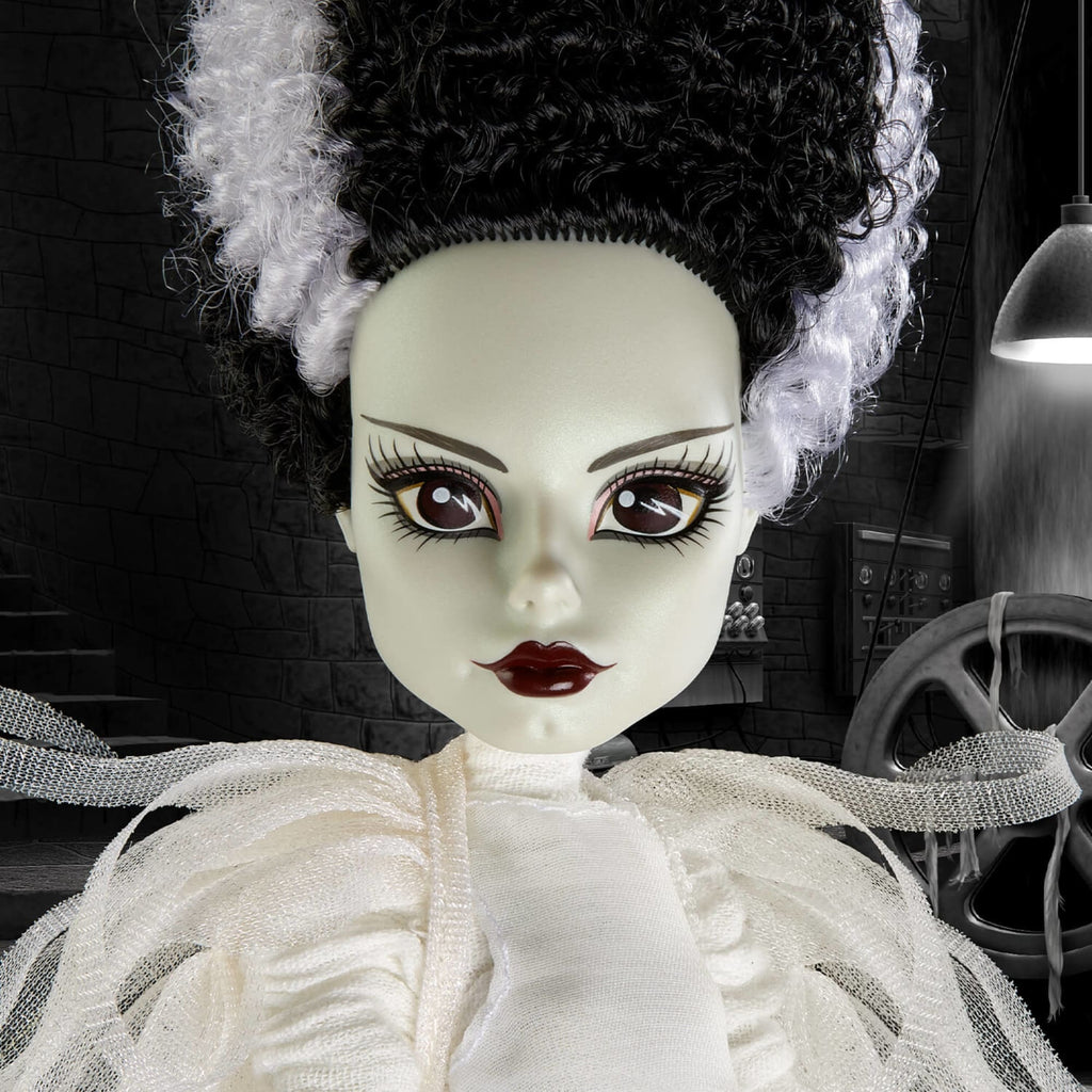 Monster High Skullector Doll Set H269894