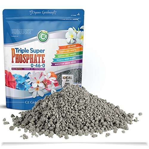 Triple Super Phosphate 0-46-0 Fertilizer TSP Pure Phosphorus Plant Food E211