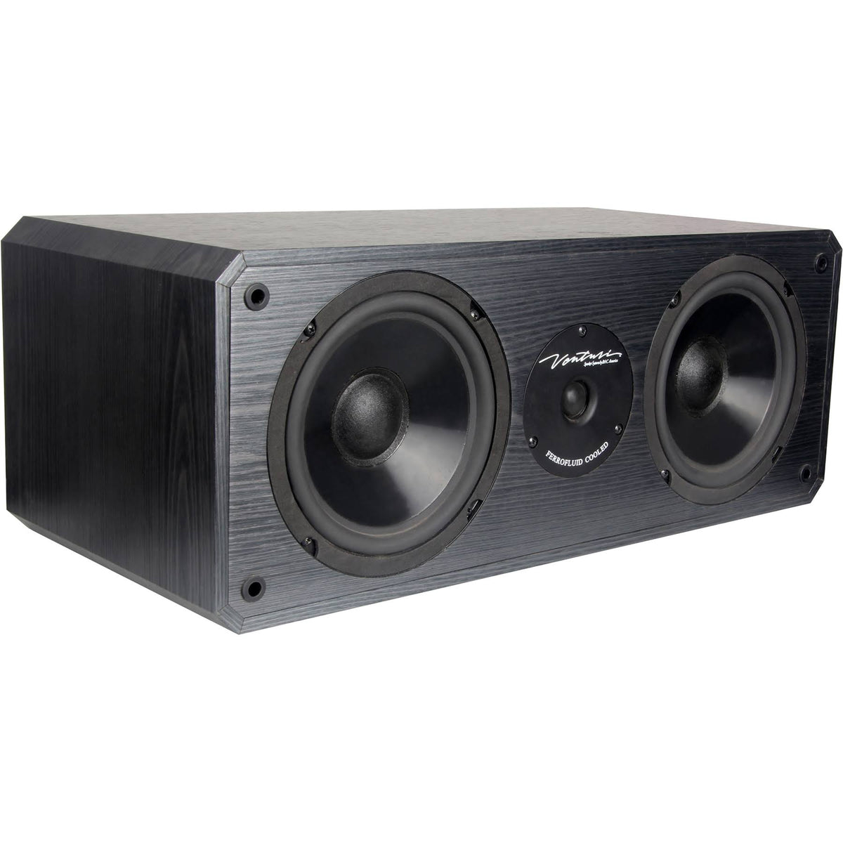 Black 2-way Center Channel Speaker B52272