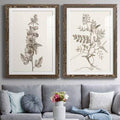 Walnut Framed Print Q9615