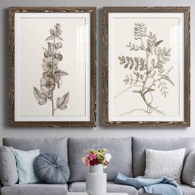 Walnut Framed Print Q9615