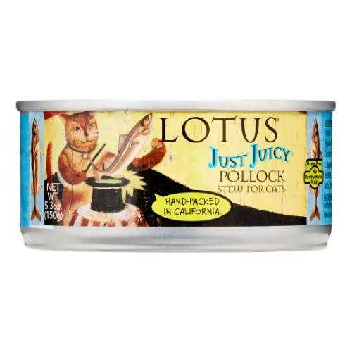 Salmon & Pollock Stew Cat Food X501