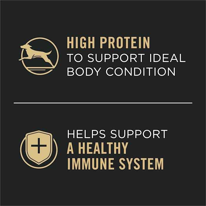 High Protein Wet Dog Food Lamb and Vegetables Entree X304
