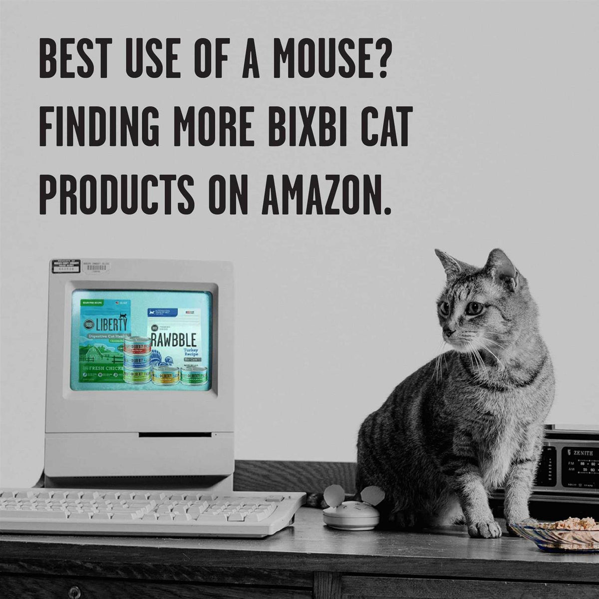 Freeze Dried Cat Food P198939