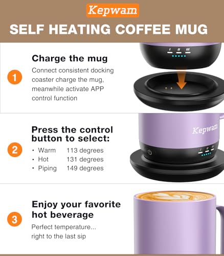 16oz Rechargeable Self-Heating Coffee Mug N997289