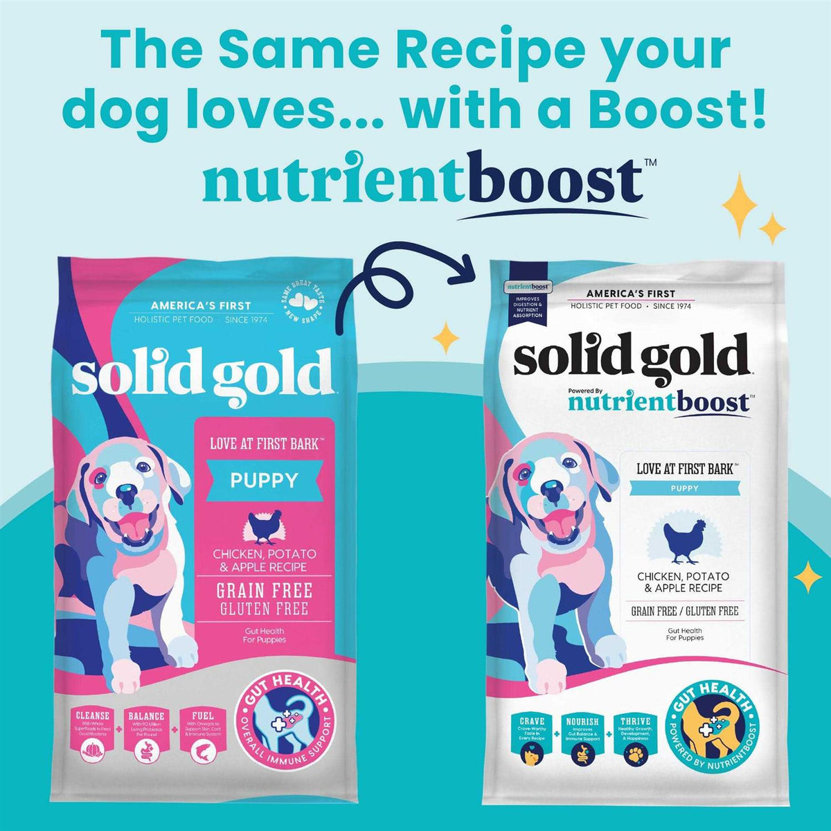 Solid Gold Chicken Dry Dog Food I862620