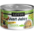 Salmon & Pollock Stew Cat Food X501