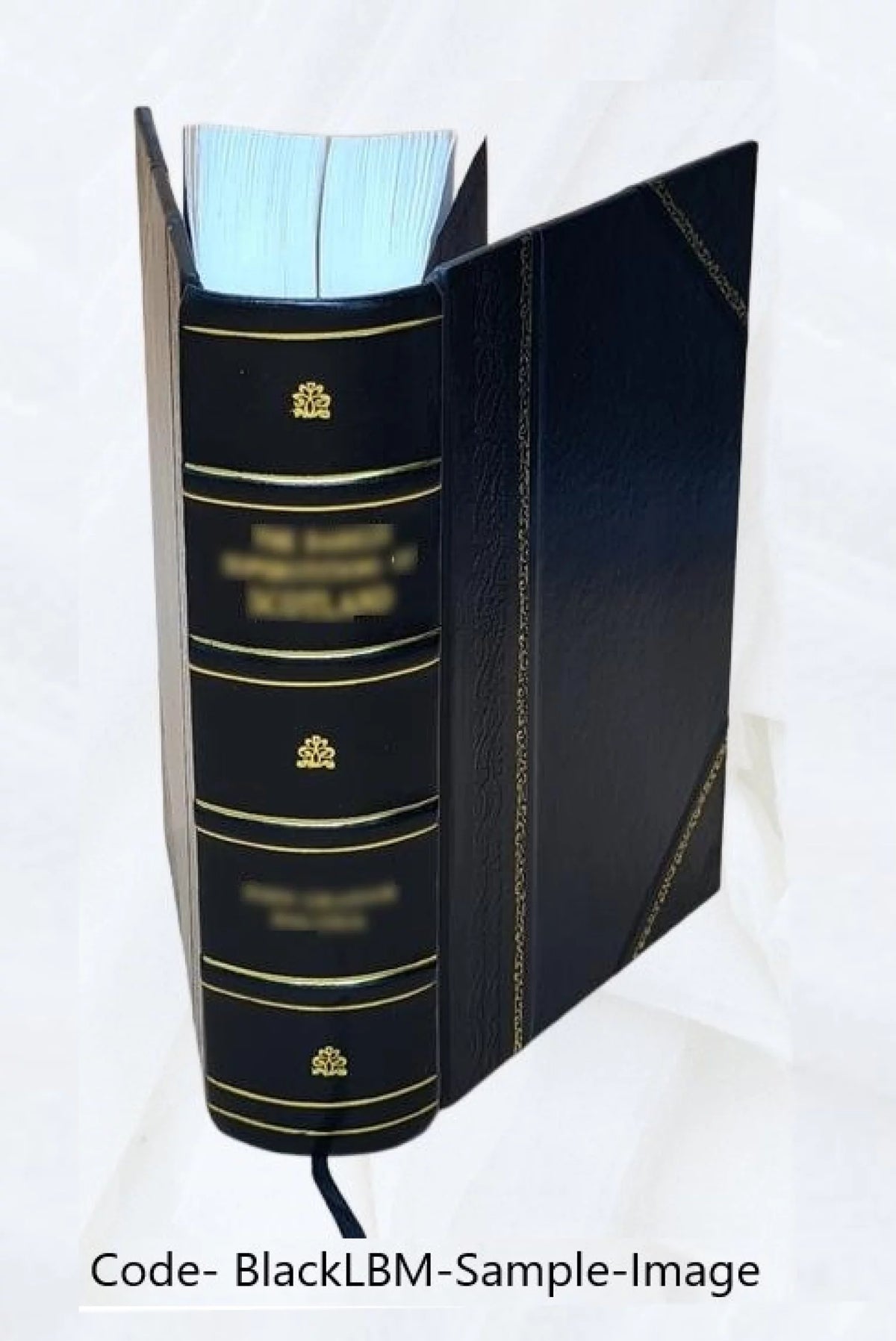 Lexicon of Medicine and the Allied Sciences Leather Bound P456