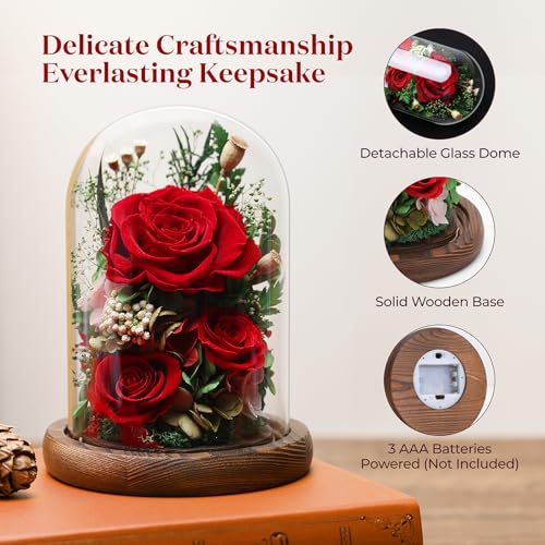 Preserved Purple Rose Flower Bouquet in Glass Dome V66025