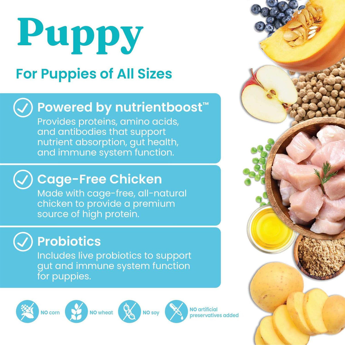 Solid Gold Chicken Dry Dog Food I862620