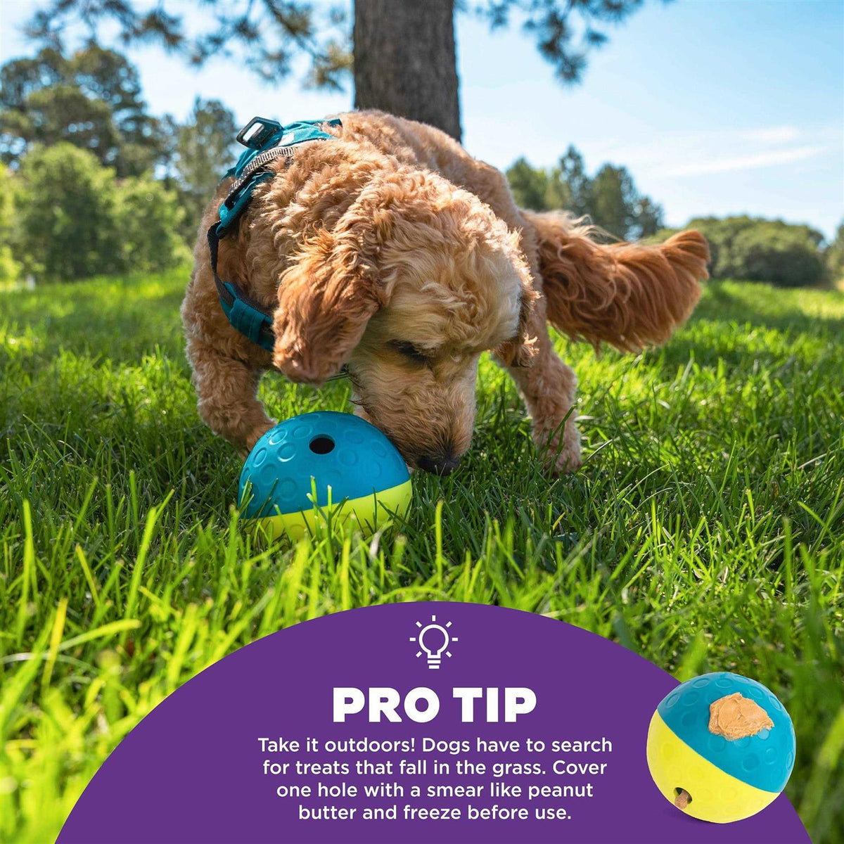 Treat Tumble Dog Toy B59470