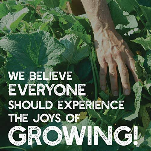 Crimson Clover Seeds, 25 lb Bulk, Non-GMO, Open Pollinated, Perennial, Heirloom, Clay Coated I67177