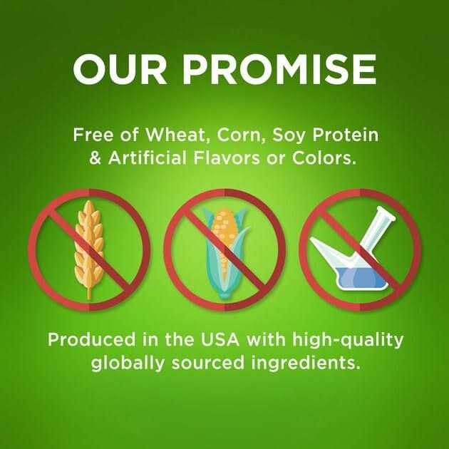 Bioactive Fresh Mouth Dental Chews Y213449