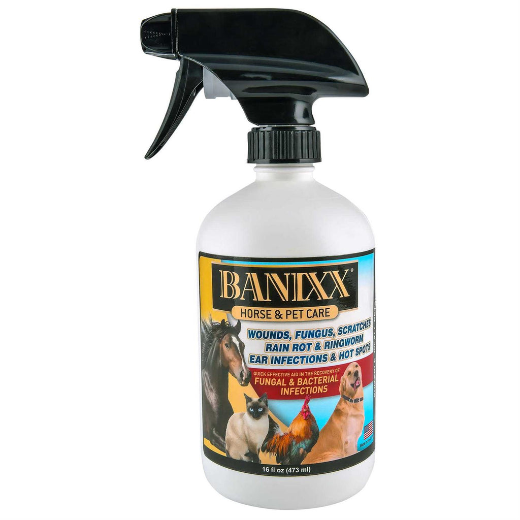 Horse & Pet Care P80620