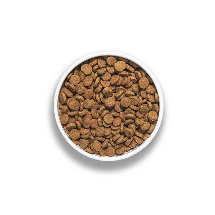 Pork Recipe Dog Food A65801