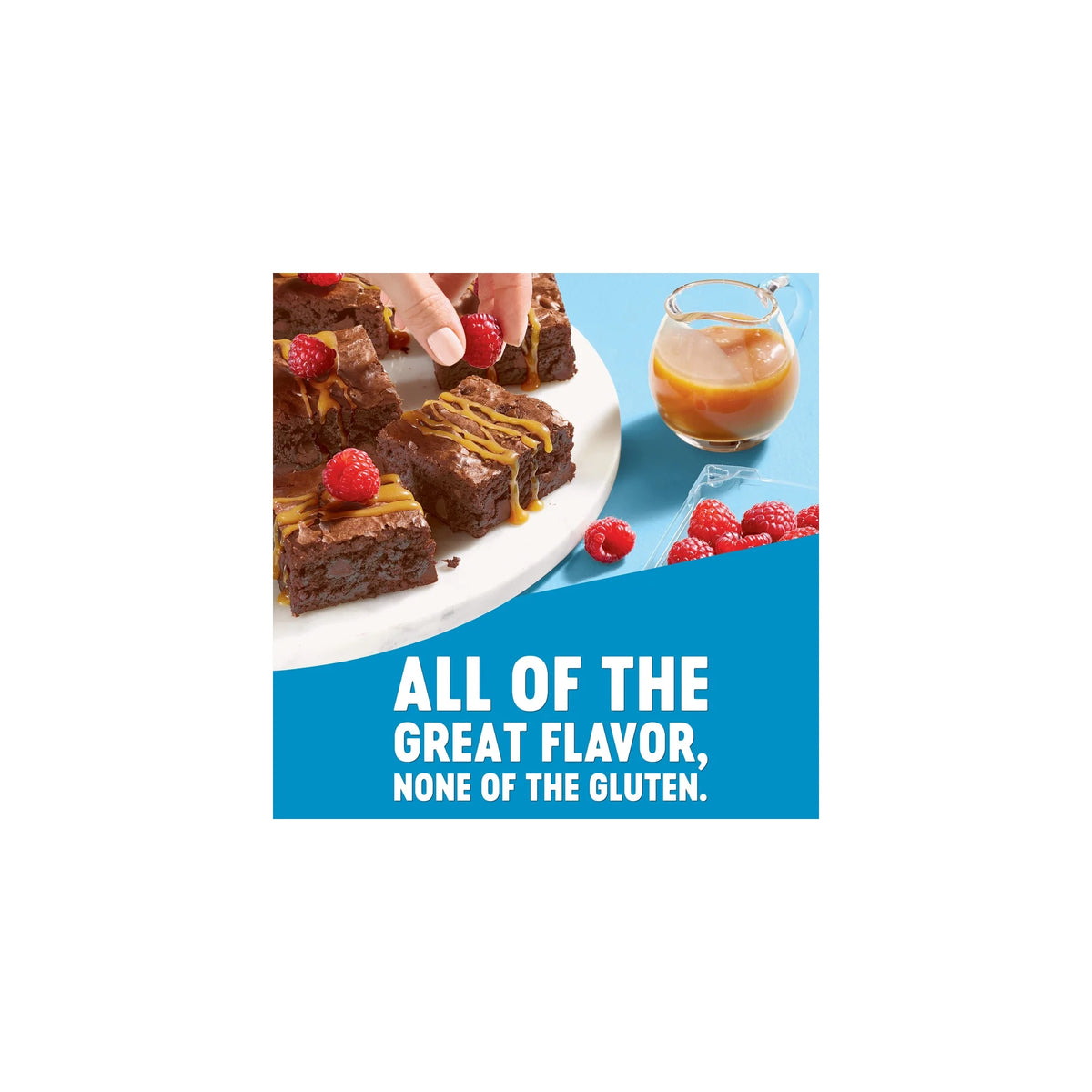 Gluten Free Double Chocolate Brownie Mix 20 Oz R3074