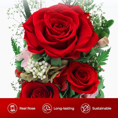 Preserved Purple Rose Flower Bouquet in Glass Dome V66025