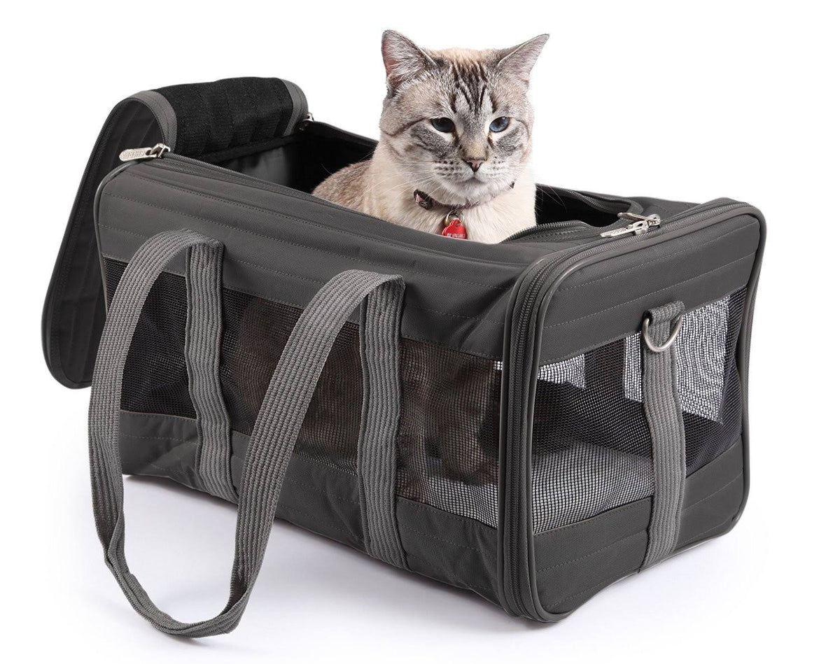 Charcoal Large Pet Carrier B231604