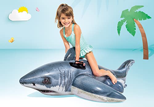 Inflatable Pool Float D25821
