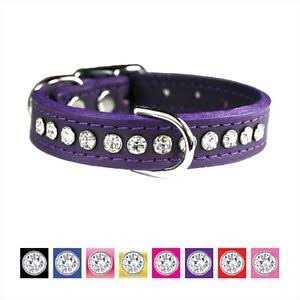 Leather Dog Collar U384284