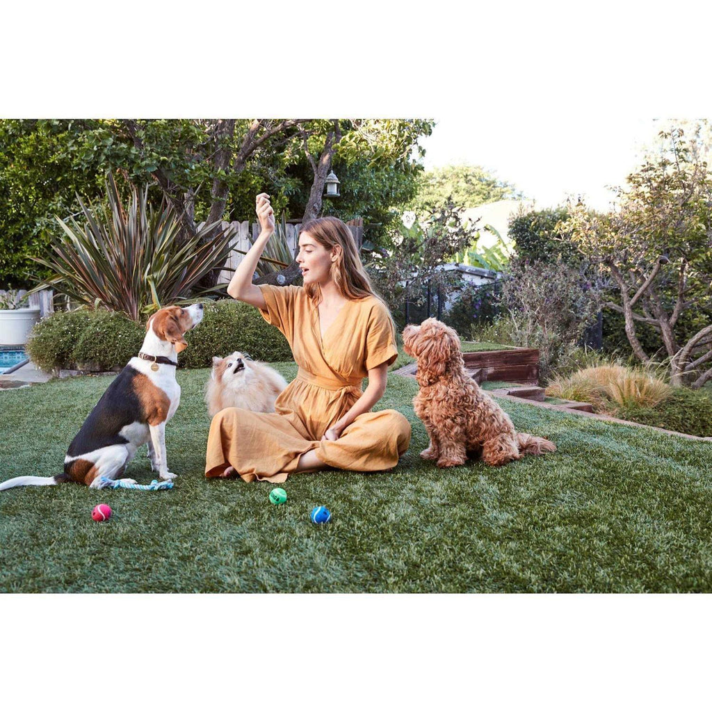 Natural Cut Pork Jerky Dog Treats A3673