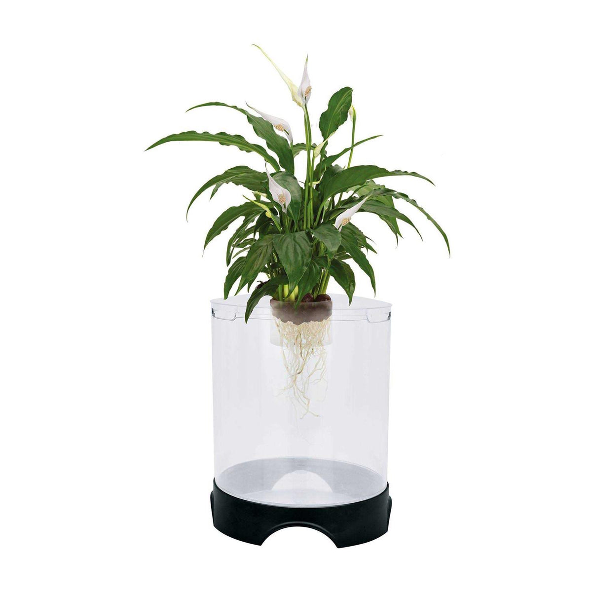Aquaponic Planter and Aquarium C953981