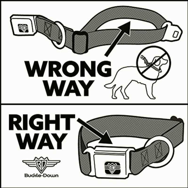 Seatbelt Dog Collar B44380