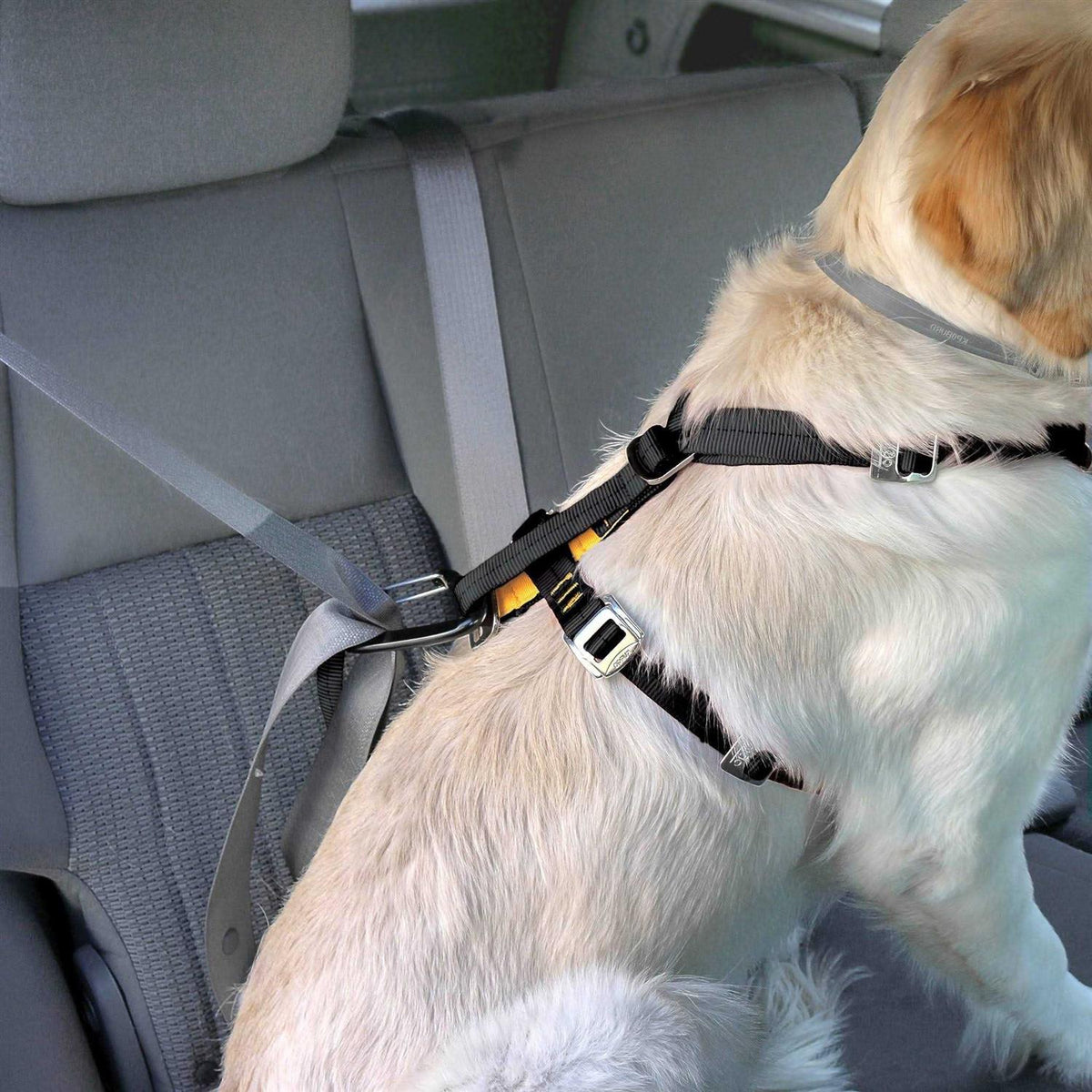 Dog Harness G232985