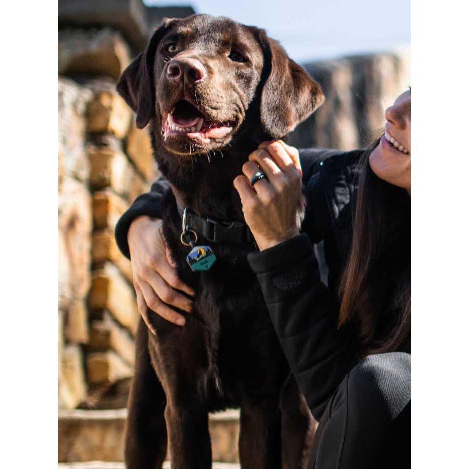Silicone Dog ID Tag H28551