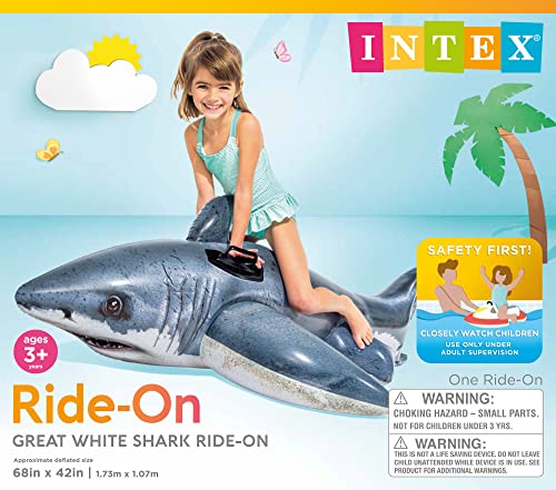 Inflatable Pool Float D25821