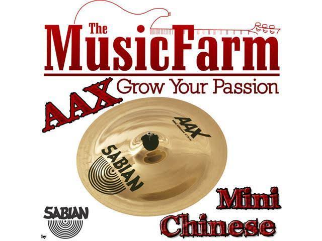 14 in. Mini Chinese Cymbal Y538118
