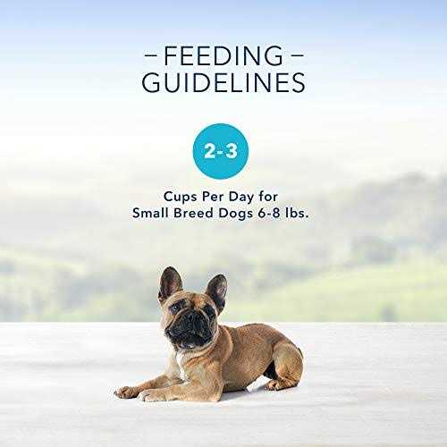 Small Breed Wet Dog Food Variety Pack D98193