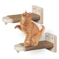 2 Step Cat Stairway with Jute Scratching Shelf Z272082