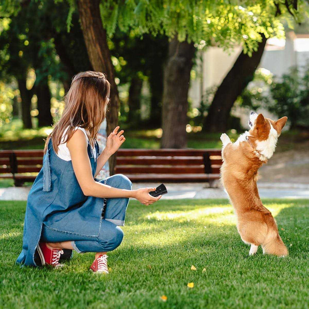 Ultrasonic Dog Training Machine E555222