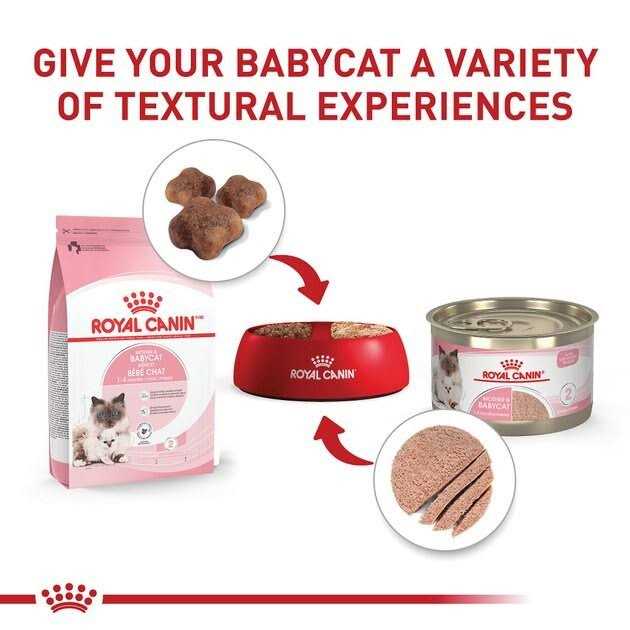 Canned Cat Food V782