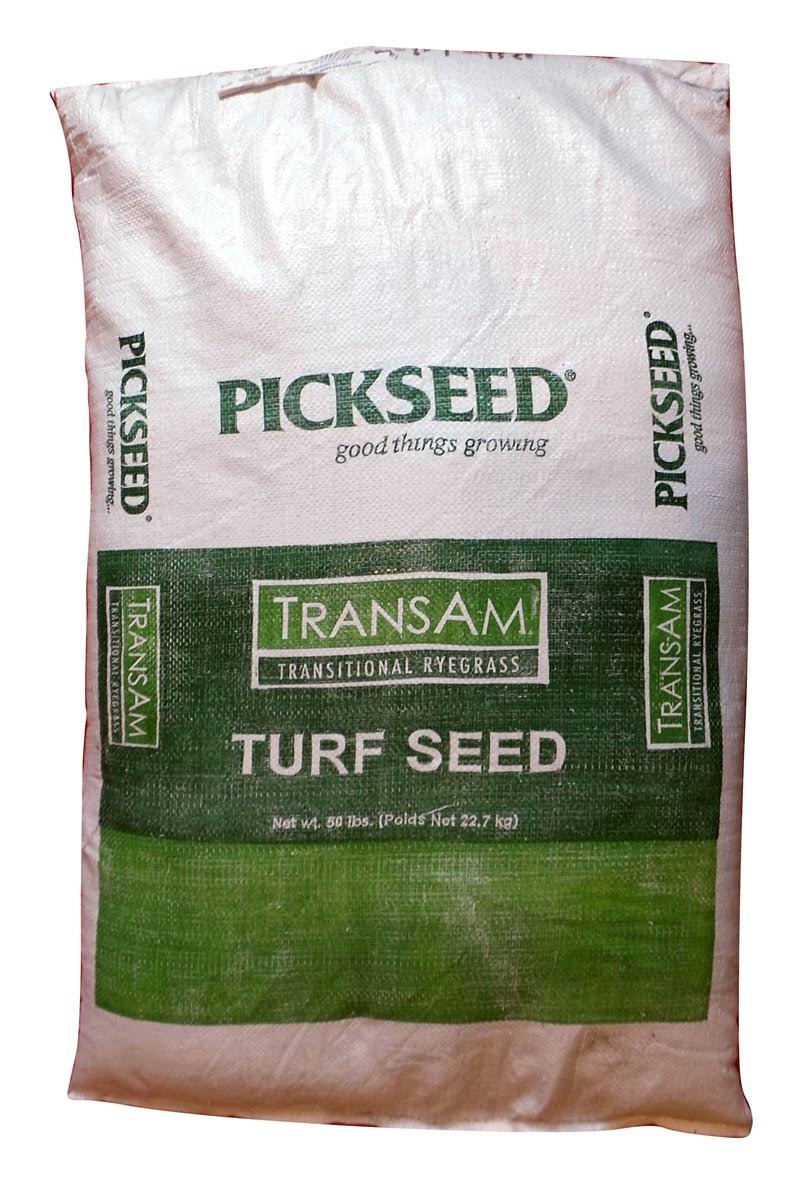 Intermediate Ryegrass Seed 50 lbs P263