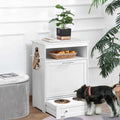 Raised Dog Bowl Pet Feeder Station C555