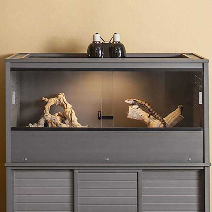 Reptile Lounge V20911