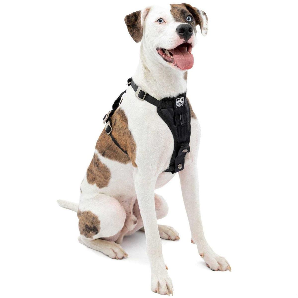 Dog Harness G232985
