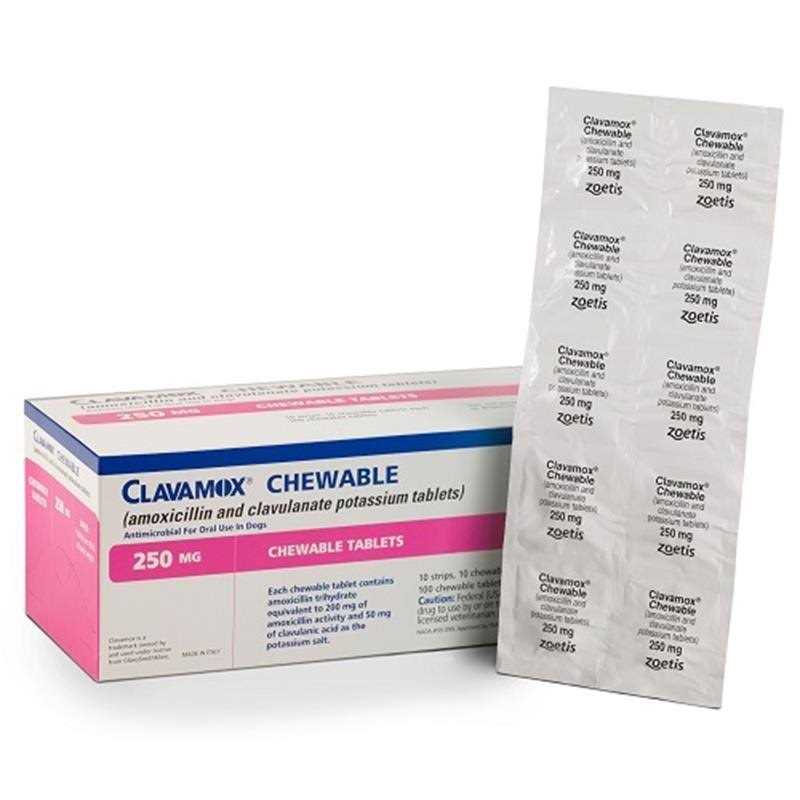 Chewable Pet Supplies A710570