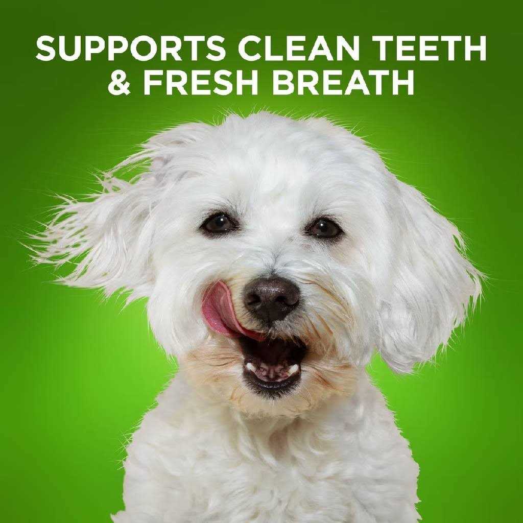 Bioactive Fresh Mouth Dental Chews Y213449