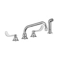Chrome Kitchen Faucet D69161
